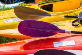 Scouts Fun Day May 2015 SW-19